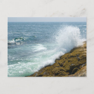 Pemaquid Point, Maine Postcard