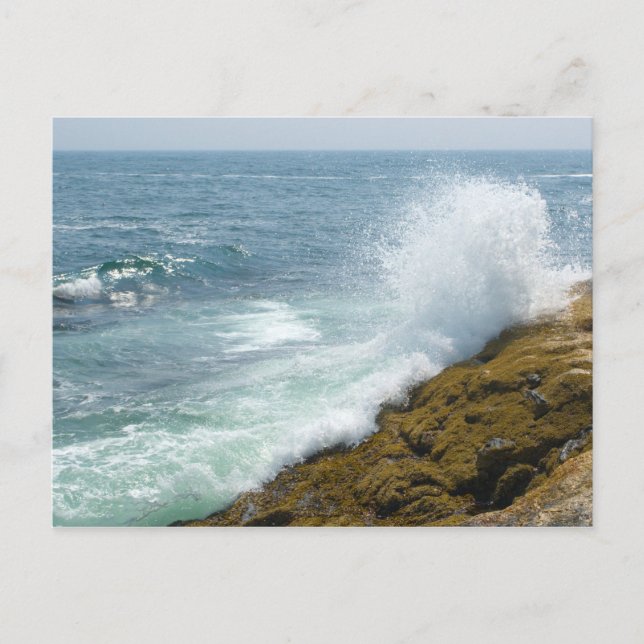 Pemaquid Point, Maine Postcard (Front)