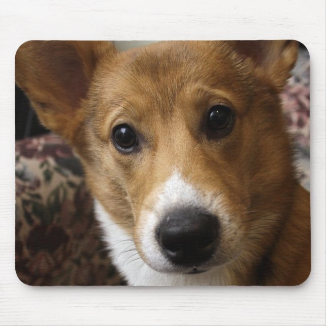 Pembroke Corgi Mouse Pad (Front)