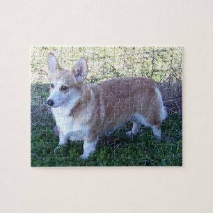 Pembroke Welsh Corgi 110 pc. Puzzle & Storage Tin