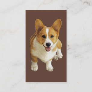Pembroke Welsh Corgi Breeder Business Card