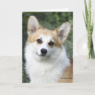 Pembroke Welsh Corgi Card