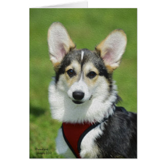 Pembroke Welsh Corgi Card