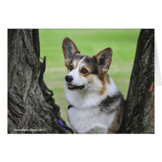 Pembroke Welsh Corgi Card