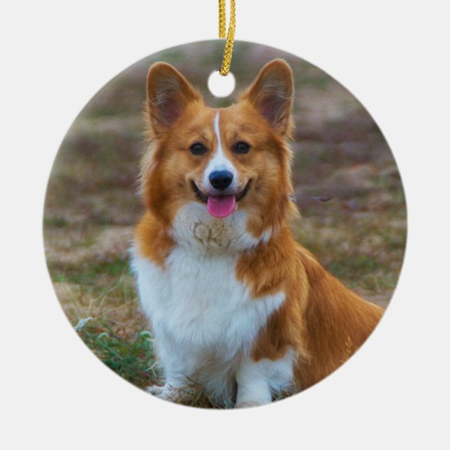 Pembroke Welsh corgi Dog Ceramic Tree Decoration (Front)