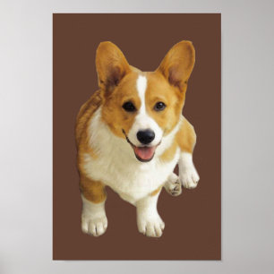 Pembroke Welsh Corgi Happy Print