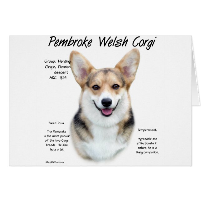 Pembroke Welsh Corgi History Design (Front Horizontal)