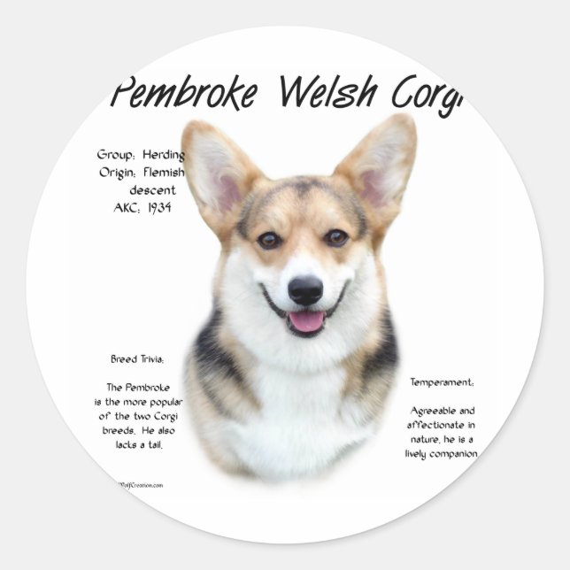 Pembroke Welsh Corgi History Design Classic Round Sticker (Front)