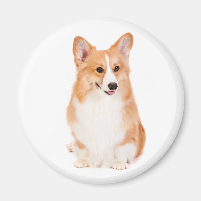 Pembroke Welsh Corgi Magnet #2 (Front)