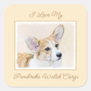 Pembroke Welsh Corgi Painting - Original Dog Art S Square Sticker