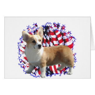 Pembroke Welsh Corgi Patriot