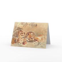 Pembroke Welsh Corgi Puppies