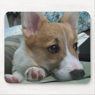 pembroke welsh corgi puppy 2 mouse pad