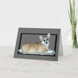 Pembroke Welsh Corgi Puppy Card