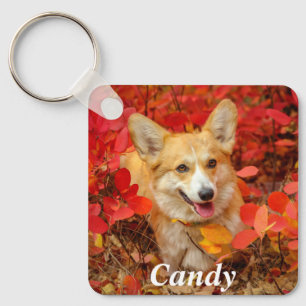 Pembroke Welsh Corgi Puppy Dog in Red Leaves Key Ring