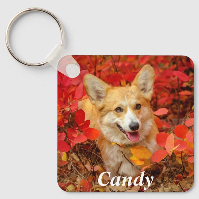 Pembroke Welsh Corgi Puppy Dog in Red Leaves Key Ring (Front)