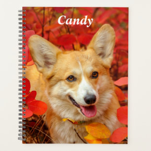 Pembroke Welsh Corgi Puppy Dog in Red Leaves Planner