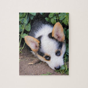 Pembroke Welsh Corgi Puppy Jigsaw Puzzle