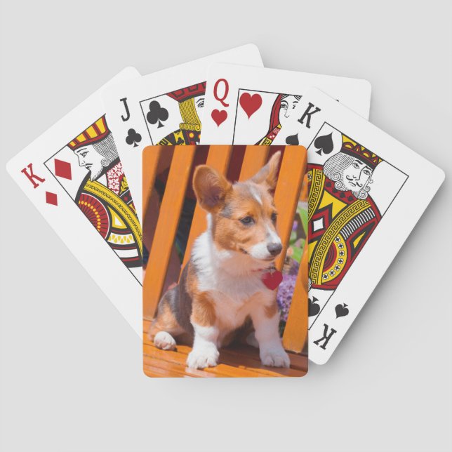 Pembroke Welsh Corgi puppy sitting in park bench Playing Cards (Back)