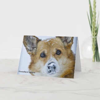 PEMBROKE WELSH CORGI SNOW NOSE CARD