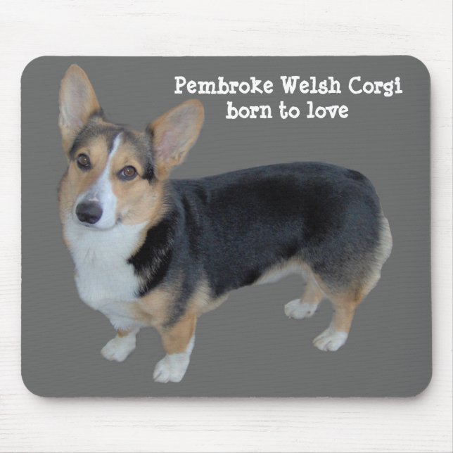 Pembroke Welsh Corgi Soulful Mousepad (Front)