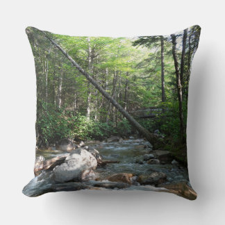 Pemigewasset River Bridge in New Hampshire Cushion