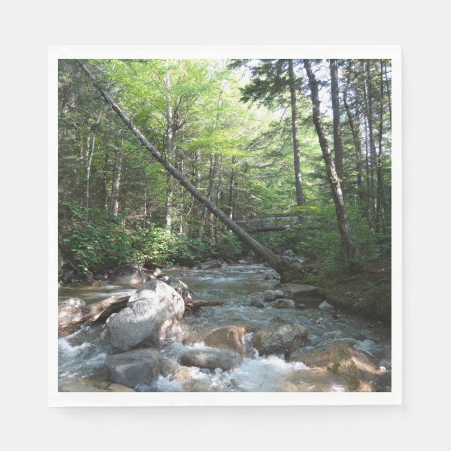 Pemigewasset River Bridge in New Hampshire Napkin (Front)