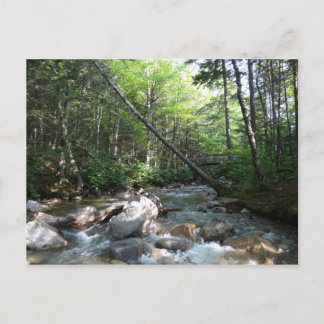 Pemigewasset River Bridge in New Hampshire Postcard