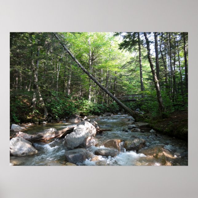 Pemigewasset River Bridge in New Hampshire Poster (Front)