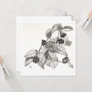 Pen and Ink Blackberries Card