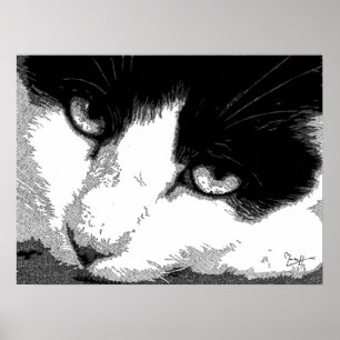 Pen and Ink Cat Poster