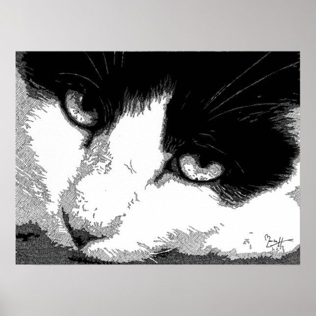 Pen and Ink Cat Poster (Front)