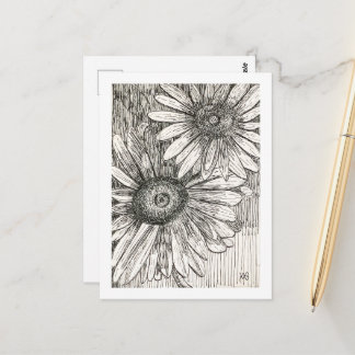 Pen and Ink Daisies Postcard