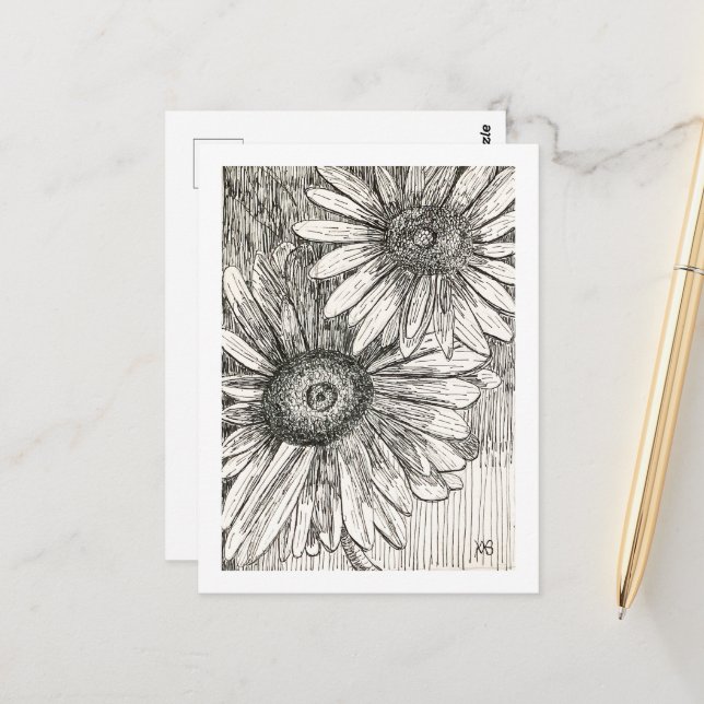 Pen and Ink Daisies Postcard (Front/Back In Situ)