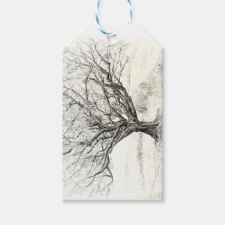 Pen and Ink Tree drawing Gift Tags