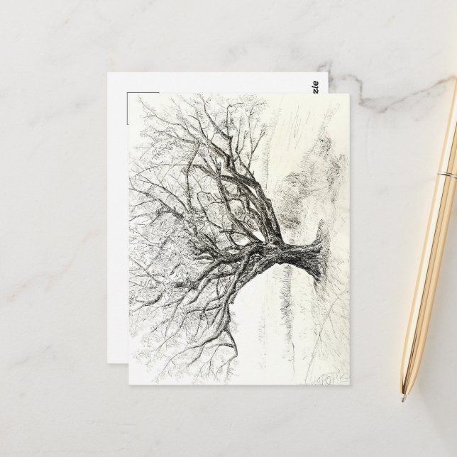 Pen and Ink Tree drawing Postcard (Front/Back In Situ)