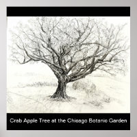 Pen and Ink Tree drawing