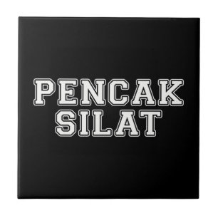 Pencak Silat Tile