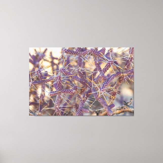 Pencil Cholla Canvas Print (Front)