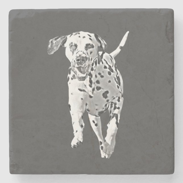Pencil Dalmatian Marble Stone Coaster (Front)