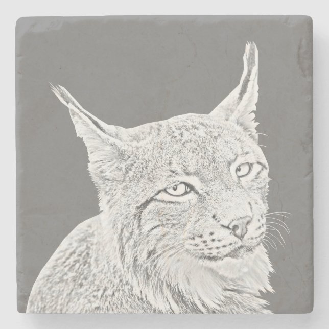 Pencil Drawn Lynx Marble Stone Coaster (Front)