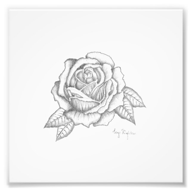 Pencil Rose Print - Satin Finish Paper (Front)