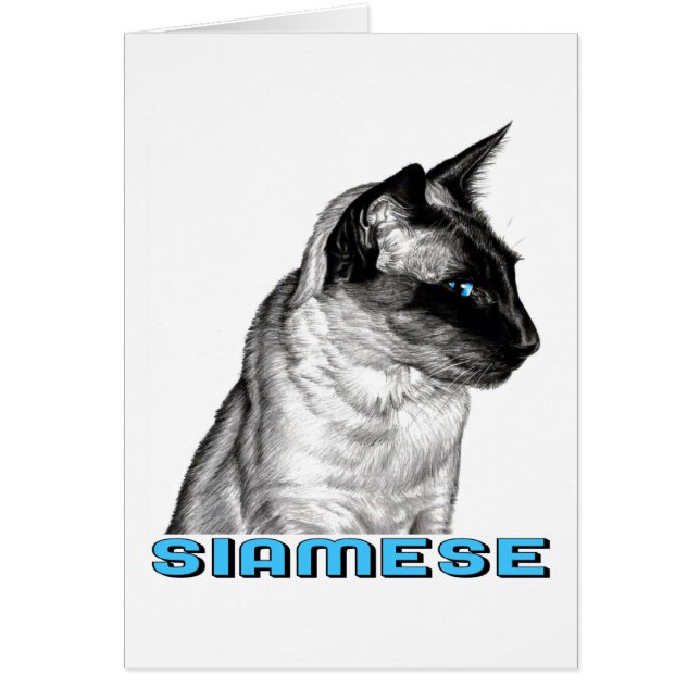 Pencil Siamese (Front)