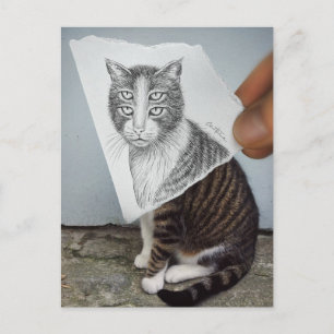 Pencil Vs Camera - 4 Eyes Cat Postcard