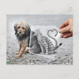 Pencil Vs Camera - Dog and Cat Postcard