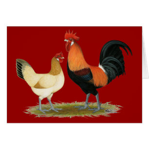 Penedesenca Chickens