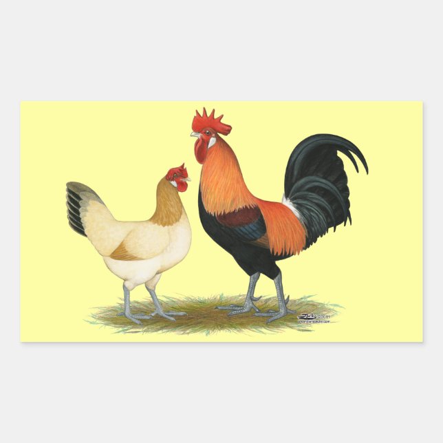 Penedesenca Chickens Rectangular Sticker (Front)