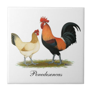 Penedesenca Chickens Tile