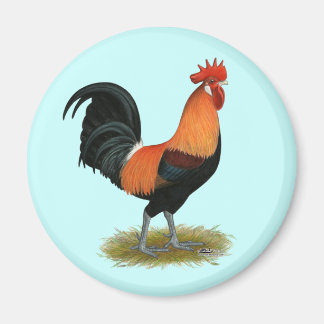 Penedesenca Rooster Magnet