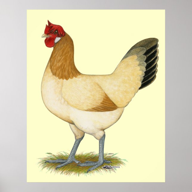 Penedesenca:  Wheaten Hen Poster (Front)